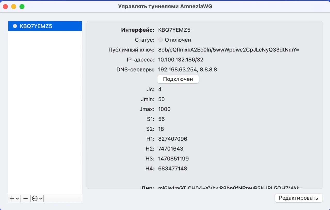 Изображение приложения AmneziaWG